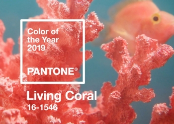 Quelle est la couleur de l'année 2019 selon Pantone