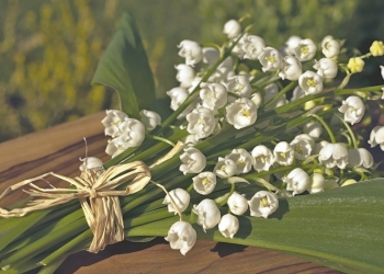 Comment créer du muguet de façon créative ?