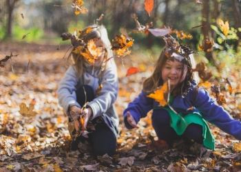 Que faire des feuilles mortes dans son jardin ?