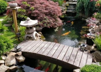 Comment créer un jardin japonais ? 