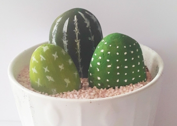 Comment créer de jolis cactus avec des galets