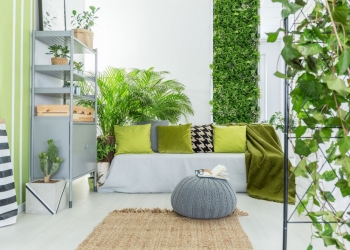 Comment décorer votre intérieur avec des plantes vertes ?