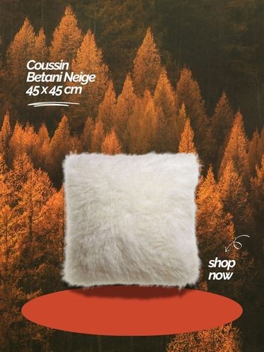 Coussin Betani Neige 45 x 45